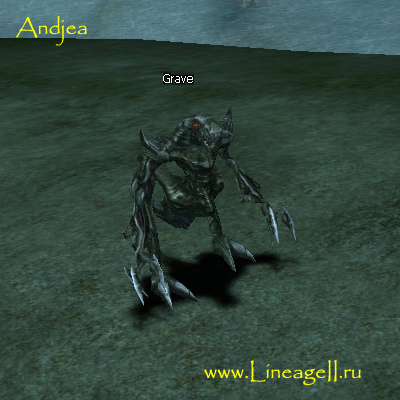 Grave