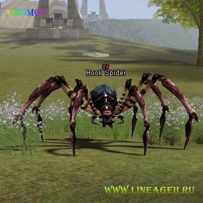 Hook Spider