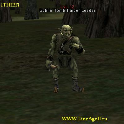 Goblin Tomb Raider Leader
