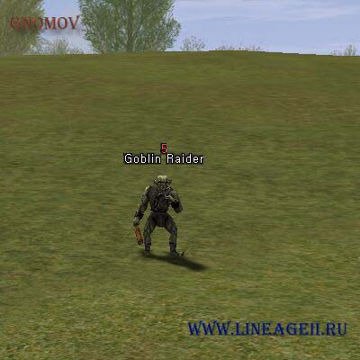 Goblin Raider
