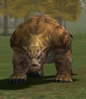 Grizzly Bear