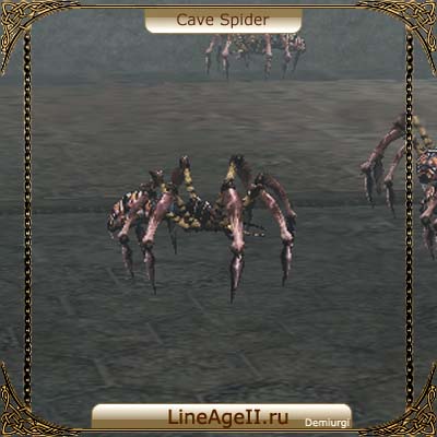 Cave Spider
