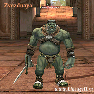 Baraq Orc Fighter