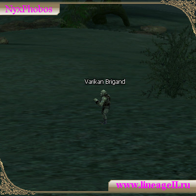 Varika's Bandit