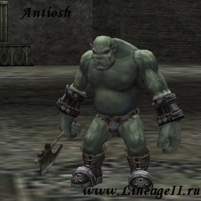 Vaiss Orc