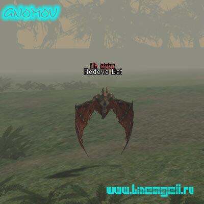 Redeye Bat