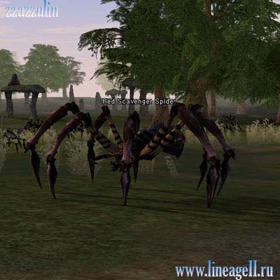 Red Scavenger Spider