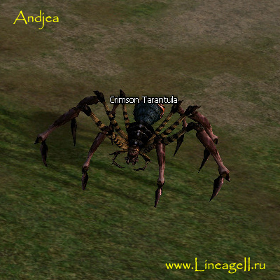 Crimson Tarantula
