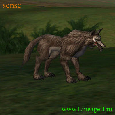 Vrykolakas Wolfkin