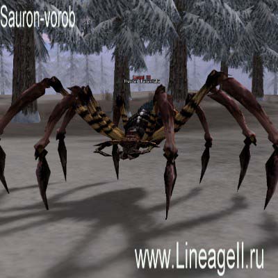 Hunter Tarantula