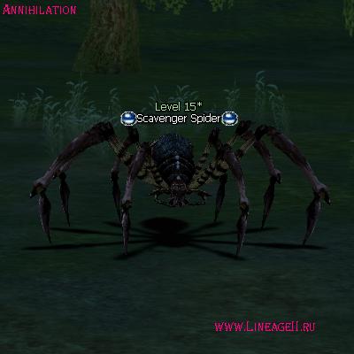 Scavenger Spider