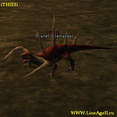 Scarlet Salamander