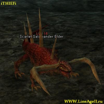 Scarlet Salamander Elder