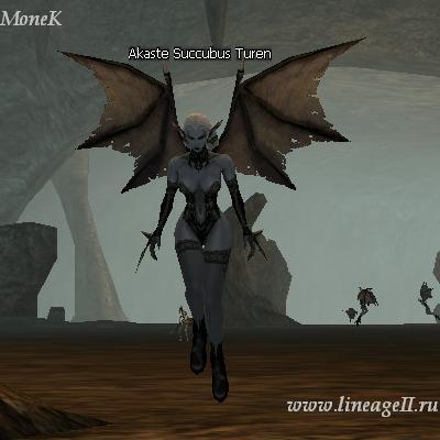 Akaste Succubus Turen