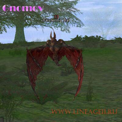 Festering Bat