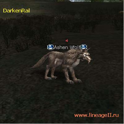 Ashen Wolf