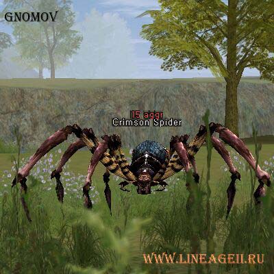 Crimson Spider