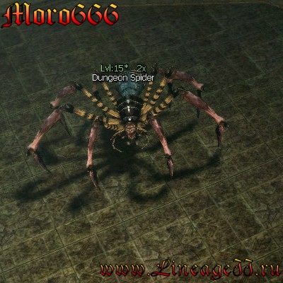 Dungeon Spider