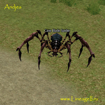 Cave Blade Spider