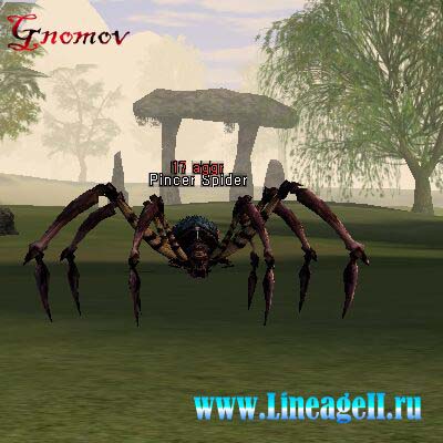 Pincer Spider