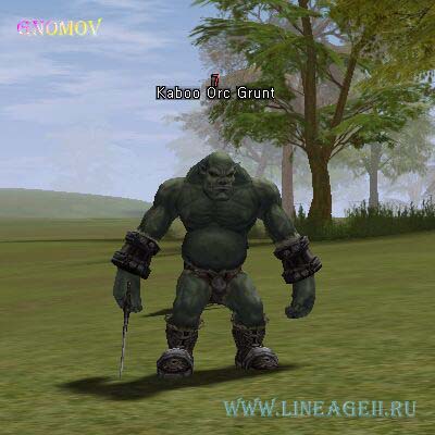 Воитель Орков Кабу — Lineage 2 Essence