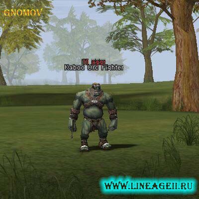 Kaboo Orc Fighter