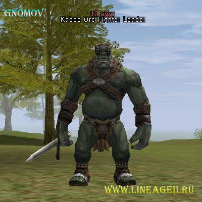 Kaboo Orc Fighter Leader