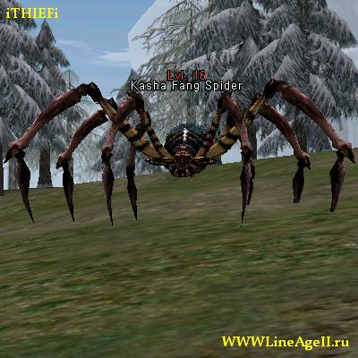 Kasha Fang Spider