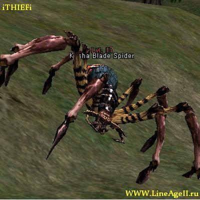 Kasha Blade Spider