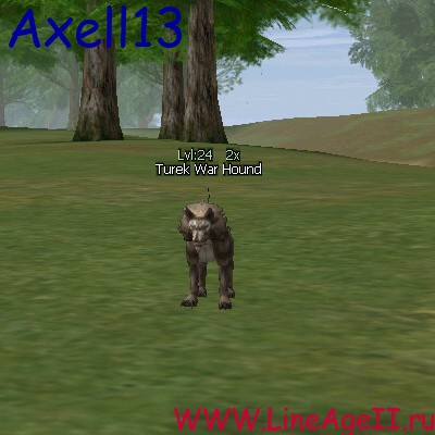 Turek War Hound