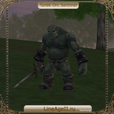 Turek Orc Sentinel