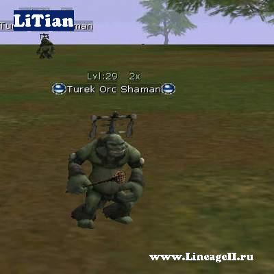 Turek Orc Shaman