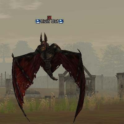 Ruin Bat