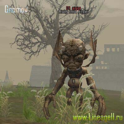 Ruin Imp Elder
