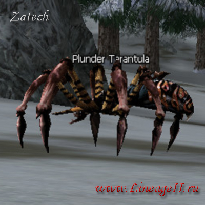 Plunder Tarantula