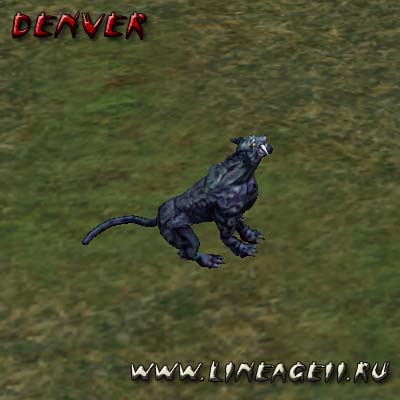 Пума — Lineage 2 Essence