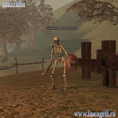 Skeleton Infantryman