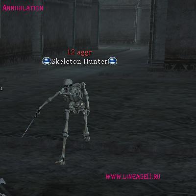 Skeleton Hunter