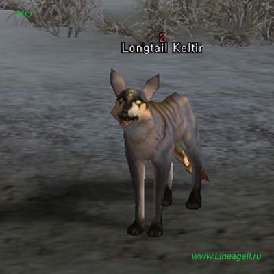 Longtail Keltir