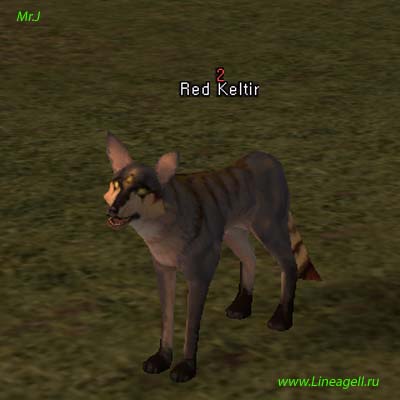 Red Keltir