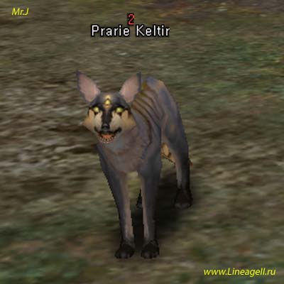Prairie Keltir