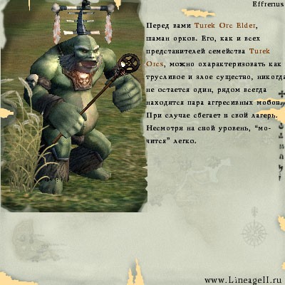 Turek Orc Elder