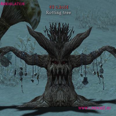 Rotting tree