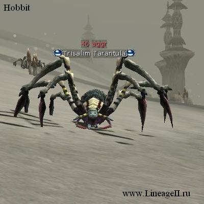 Паук Трисалим — Lineage 2 Essence