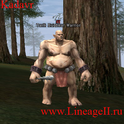 Tarlk Bugbear Warrior