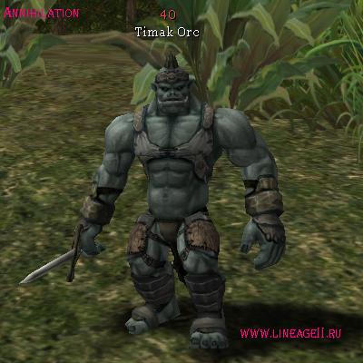 Timak Orc