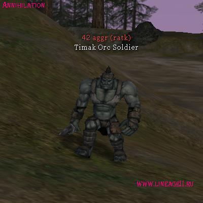 Timak Orc Soldier