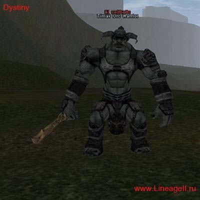 Timak Orc Warrior