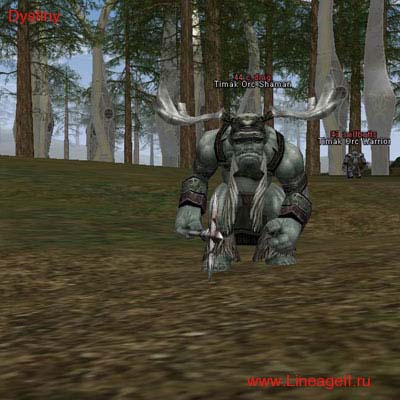 Timak Orc Shaman