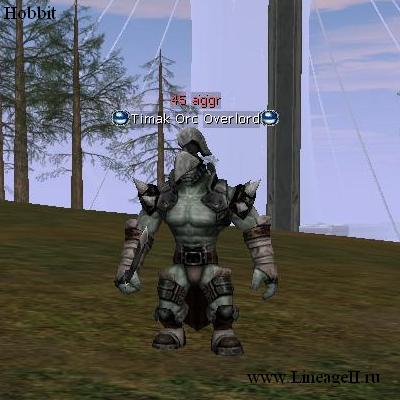 Timak Orc Overlord